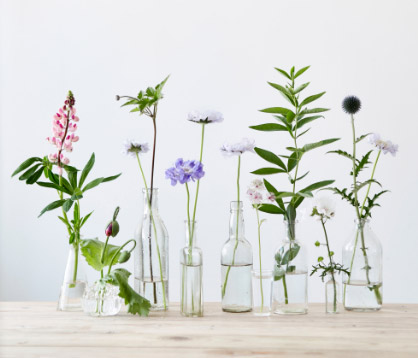 Neem de telefoon op Ontembare Milieuactivist bloemen & planten – christa snoek